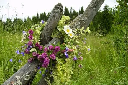 Как да празнуват Иван Купала