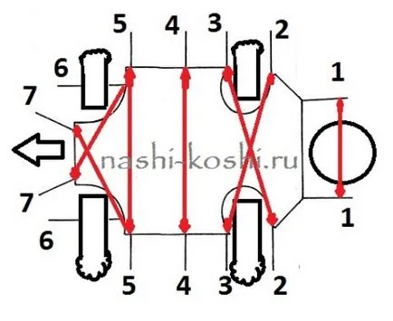 Тя зашити котка