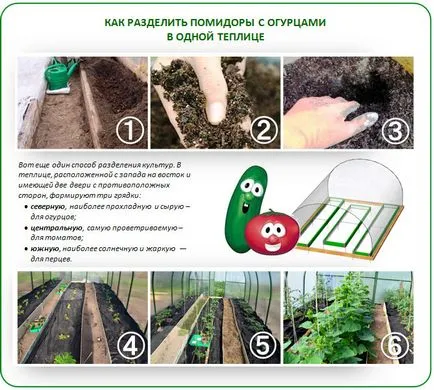 Краставици с домати