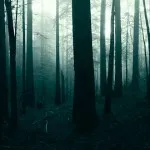 Една мечта, че е починал в съня си