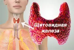 От това, което очите блясък