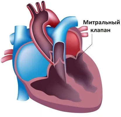 Какво е пролапси