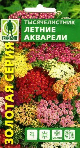 Бял равнец от култивиране семена Бял равнец от култивиране семена