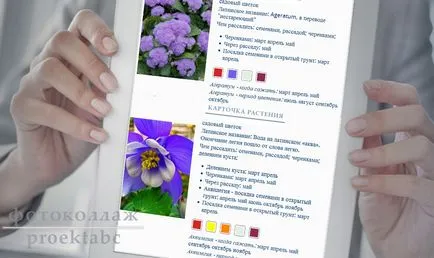 Какви са градински цветя