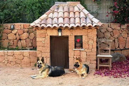 Всички породи кучета пазачи