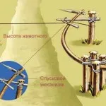 Как да се поставят капани