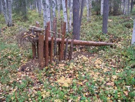 Как да се поставят капани