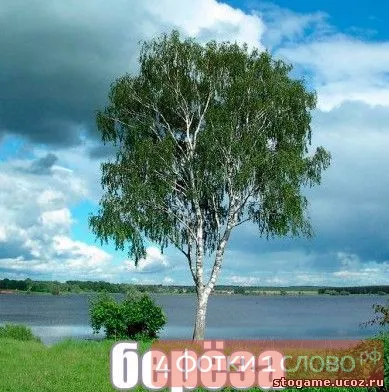Познай какво снимката с отговорите
