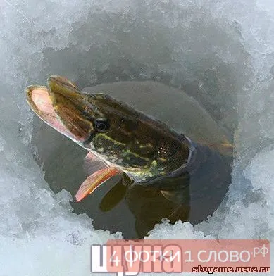 Познай какво снимката с отговорите