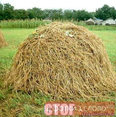 Познай какво снимката с отговорите