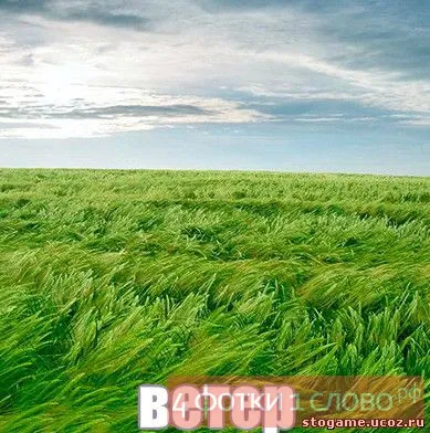 Познай какво снимката с отговорите