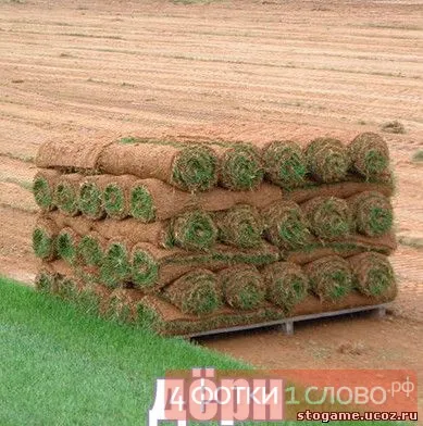 Познай какво снимката с отговорите