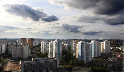 Blue го зъб