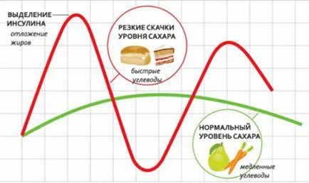 Колко често да се хранят