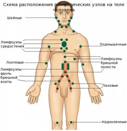 Неравностите по кожата, които е
