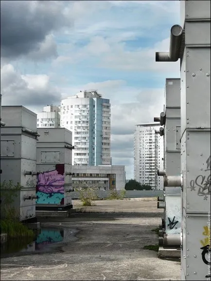 Blue го зъб