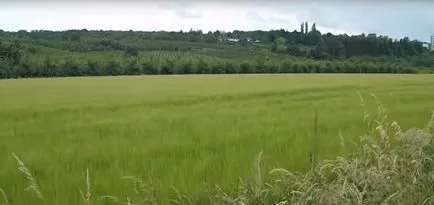 Как ще прекарате лятото