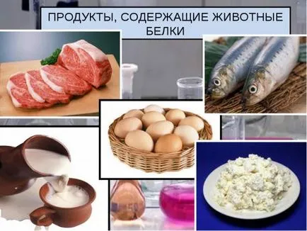 Белтъците са какви продукти