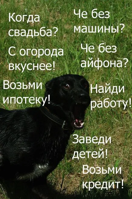 Кучето се превръща в