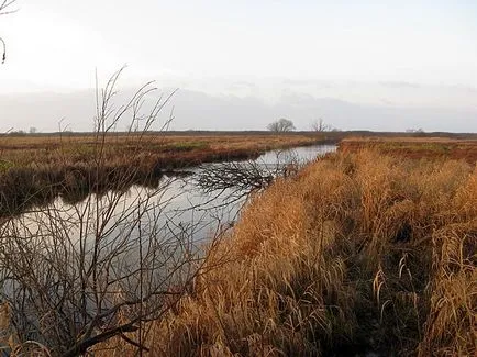 Ловни какво е