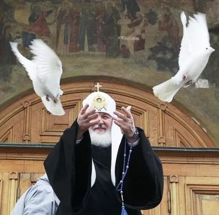 Гълъби за сватби