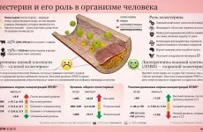 Ez olyan szénhidrátokat, mely termékek Ez olyan szénhidrátokat, mely termékek