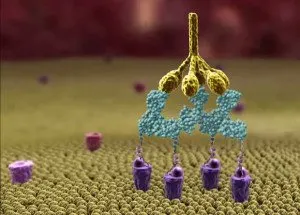 Mit lehet cserélni antibiotikumok Mit lehet cserélni antibiotikumok
