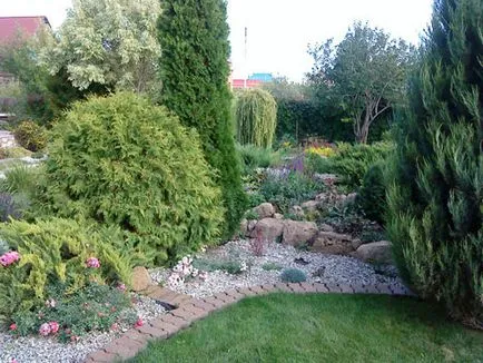 Mi van tuja