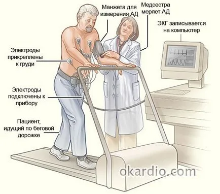 Futópad teszt az, ami Futópad teszt az, ami