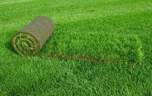 Как да се грижим за тревни площи