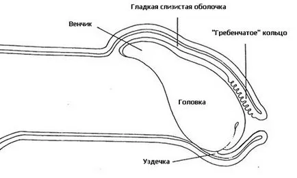 лечение юздичка лечение юздичка