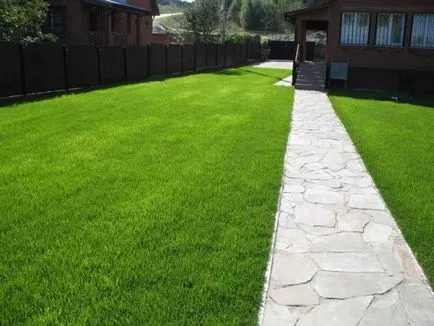 Как да се грижим за тревни площи