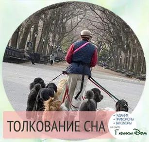 Мечтая много кучета