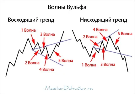 Какво е Вулф Какво е Вулф