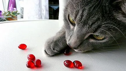 Витамин за котки Витамин за котки