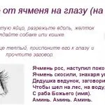 Конспирации срещу алергии