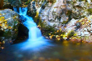 Какво трябва да направите във водата