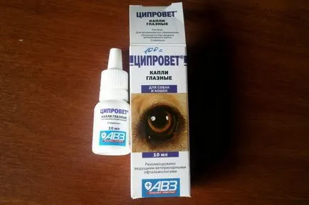 кучешки лечение на очите