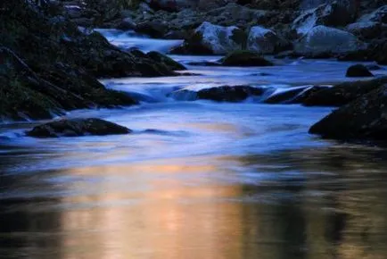 Какво трябва да направите във водата
