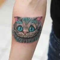 Kashira котка