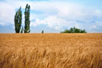 Какво ще се случи на планетата без човешка