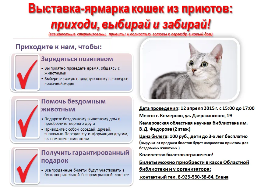 Адреси на кучешки приюти
