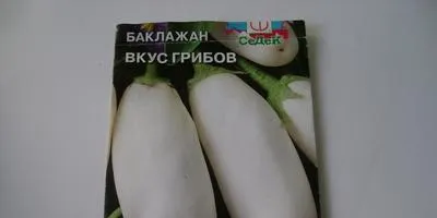 Информация за отглеждане на патладжан