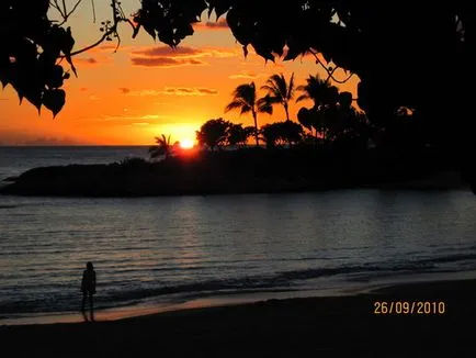 Какво е Waikiki