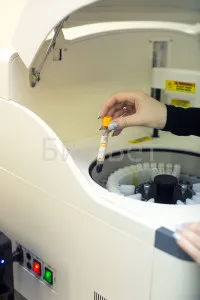 Биохимични изследвания на кръвта при кучета