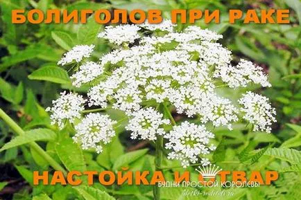 Как да се вземе бучиниш