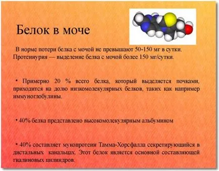 Много от белтък в урината, което е Много от белтък в урината, което е