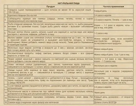 С какво да храним котенца на месец