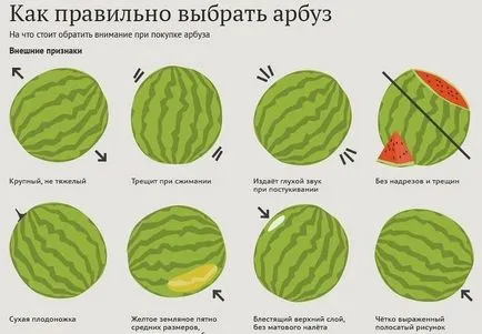 Хранителното динята