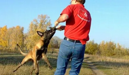 Какво е в съзнанието на едно куче